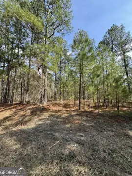 Residential Land in Tignall, GA