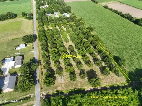 Pecan Orchard Farmland