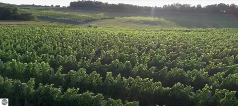Operational Vineyard with Tasting Room