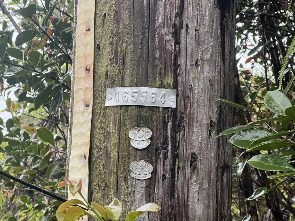 Picture 6
