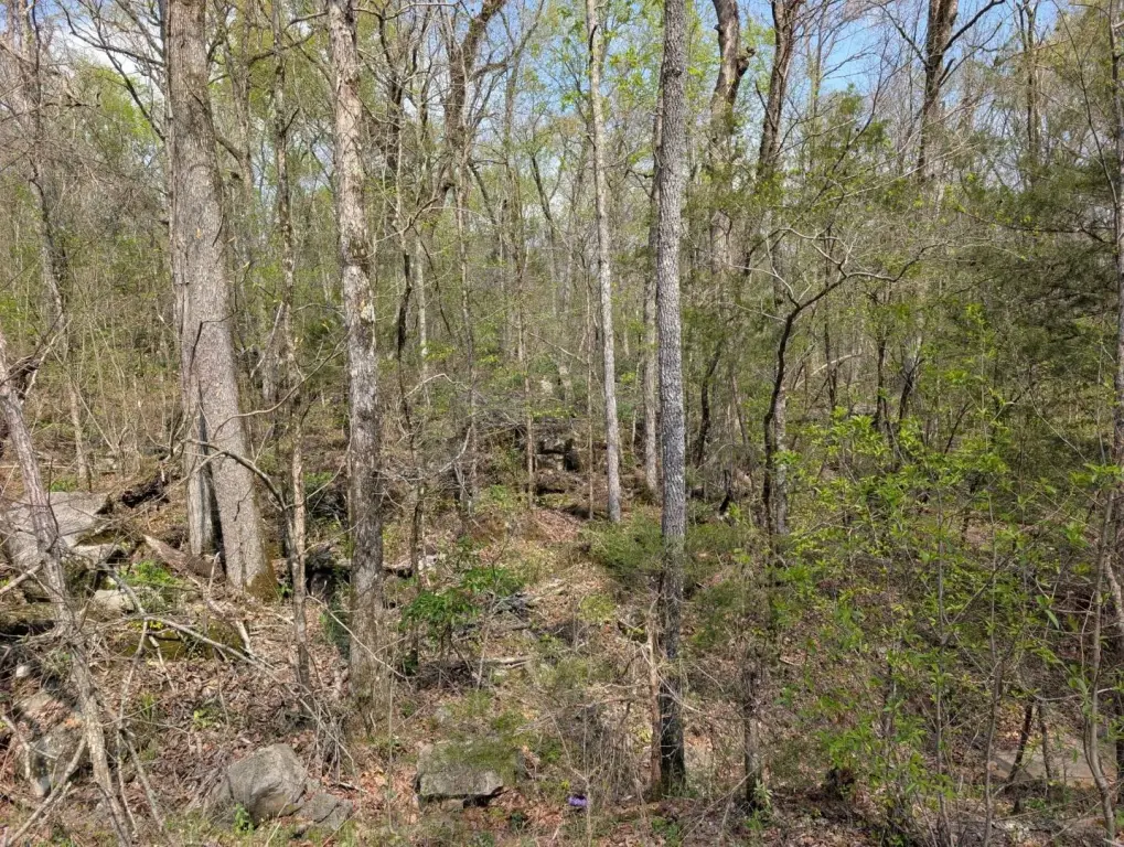 Picture 17