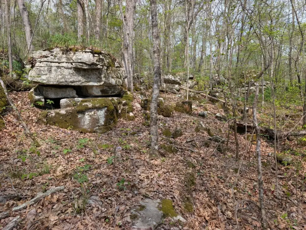 Picture 18