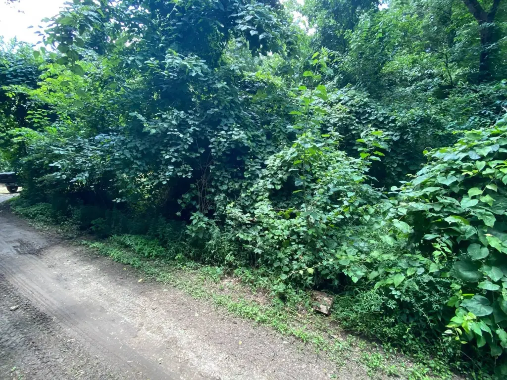 Picture 6