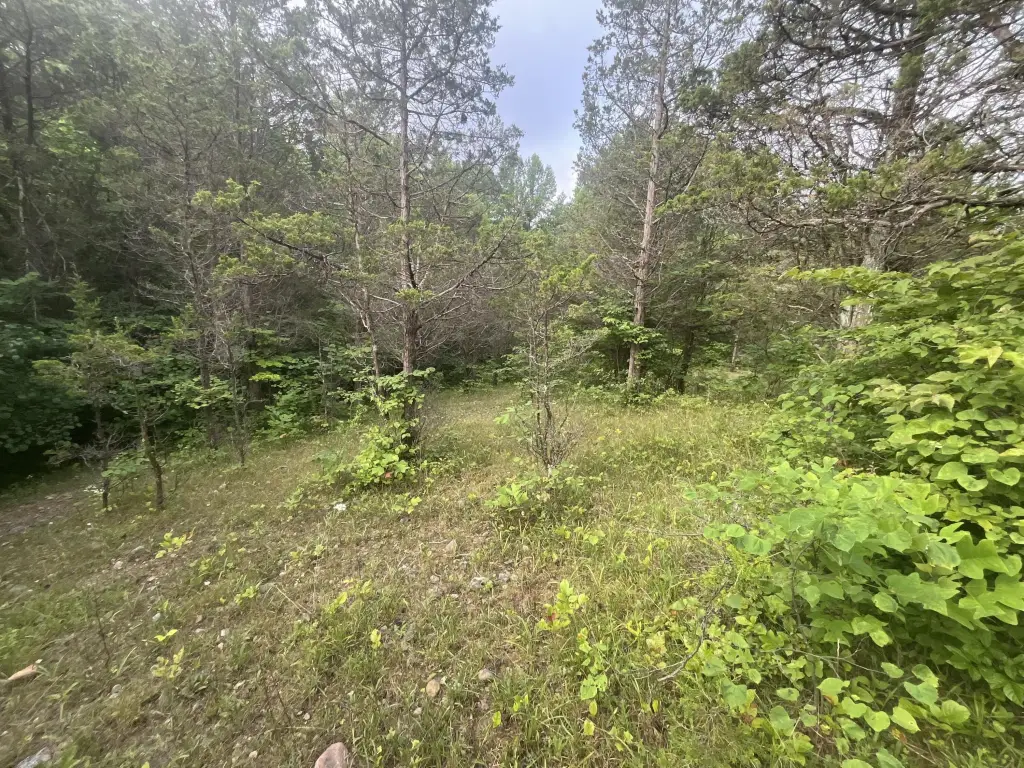 Picture 21