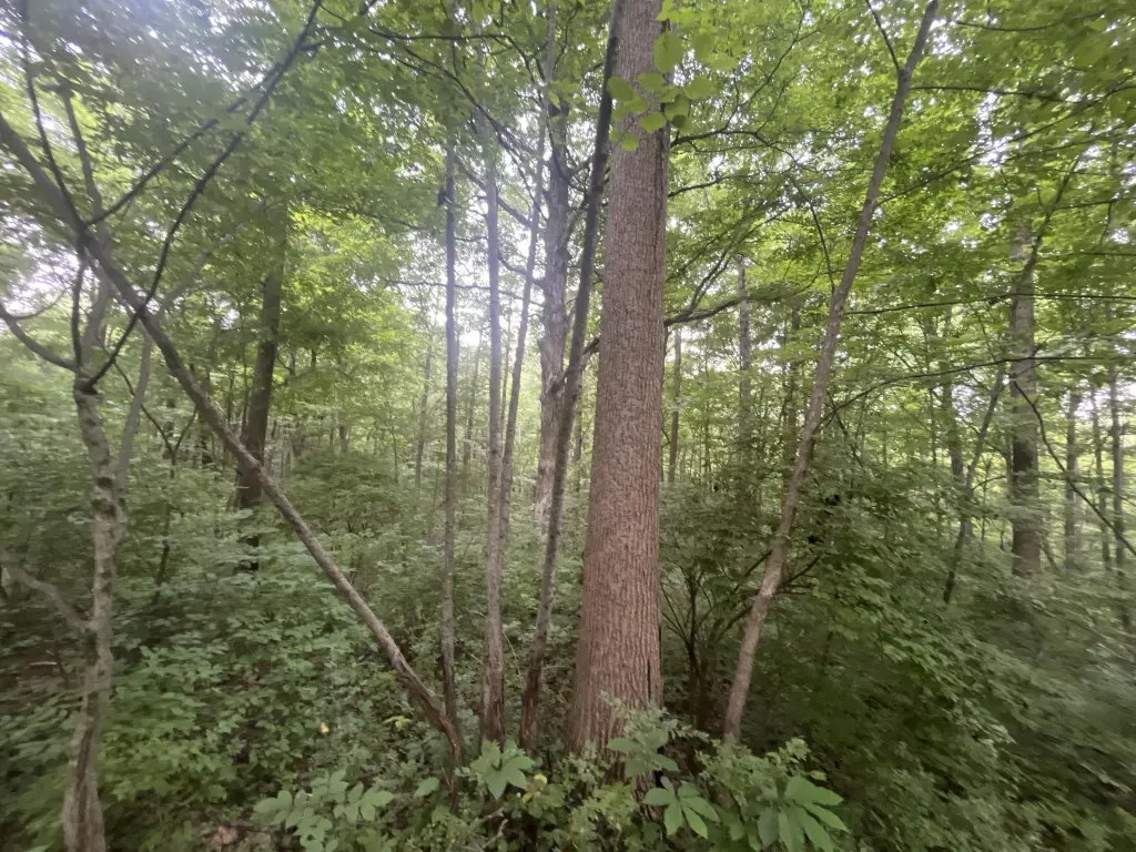 Picture 18