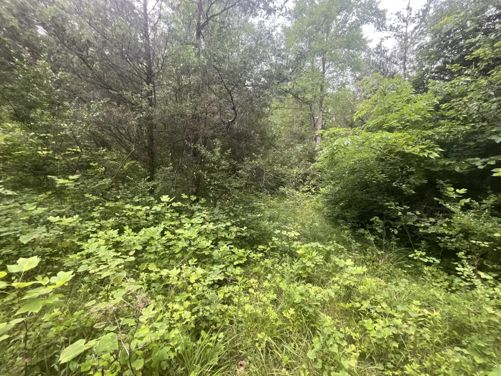 Picture 19