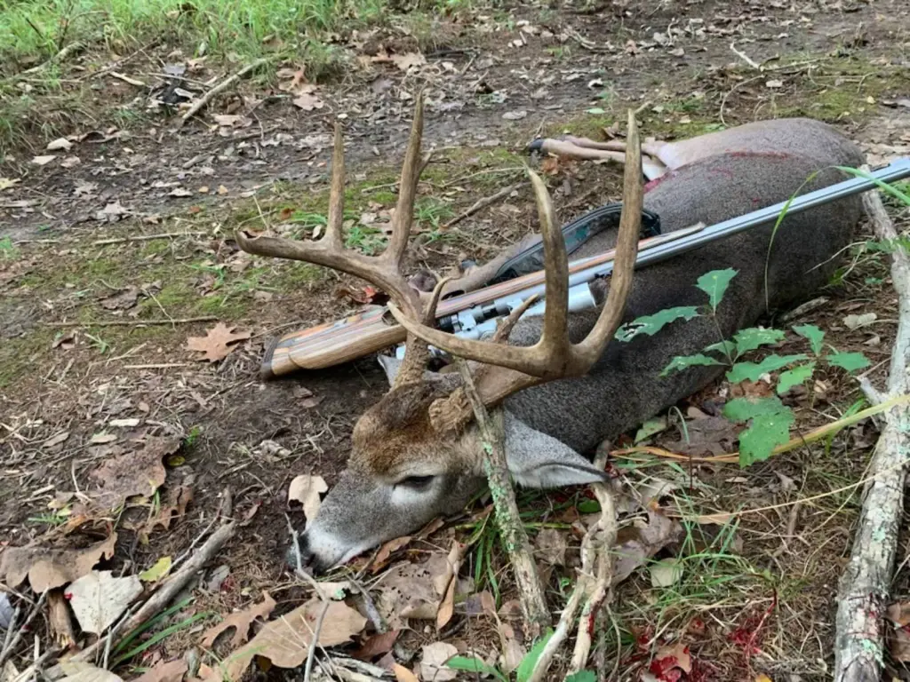 Picture 87