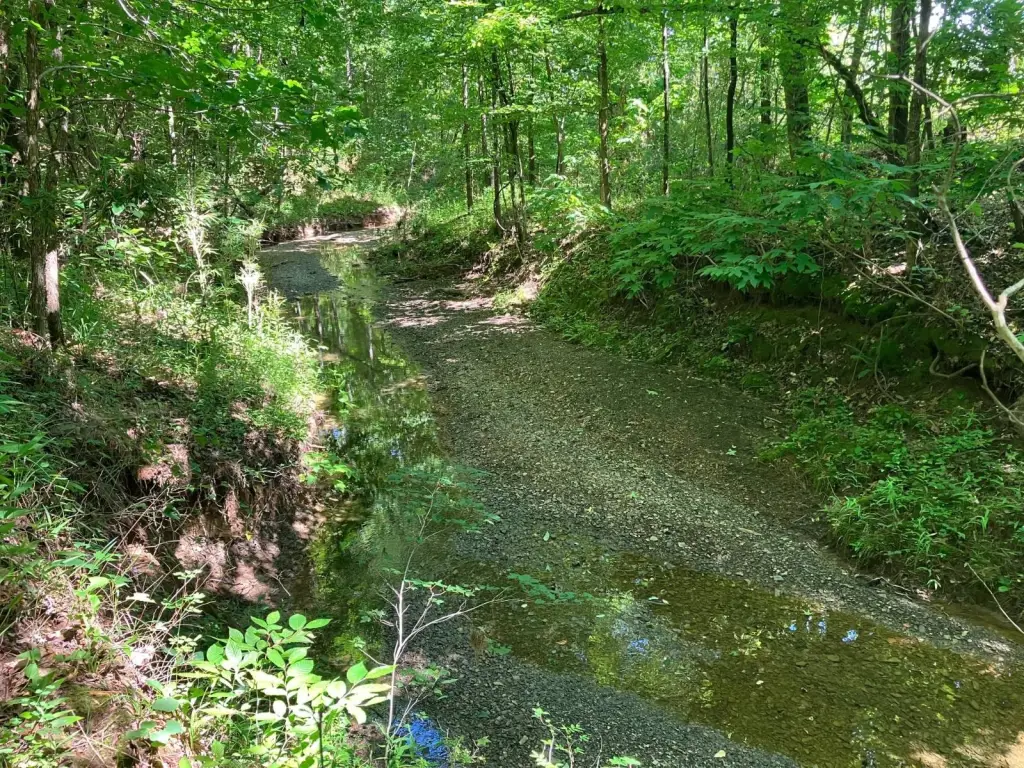 Picture 41