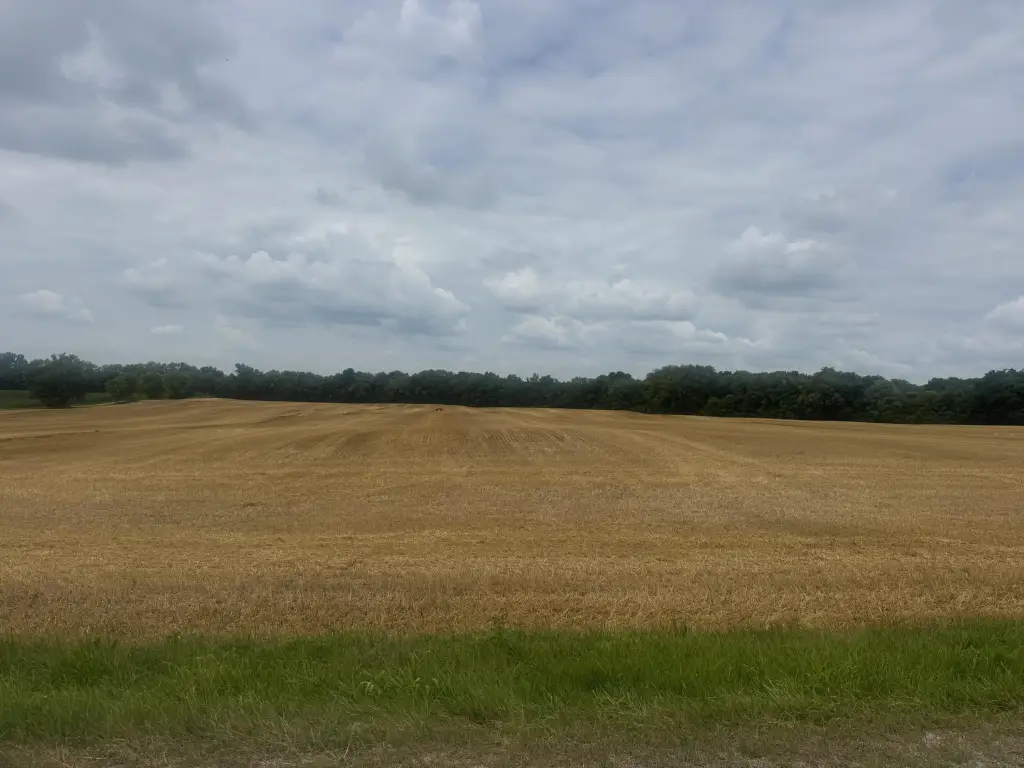 Picture 24