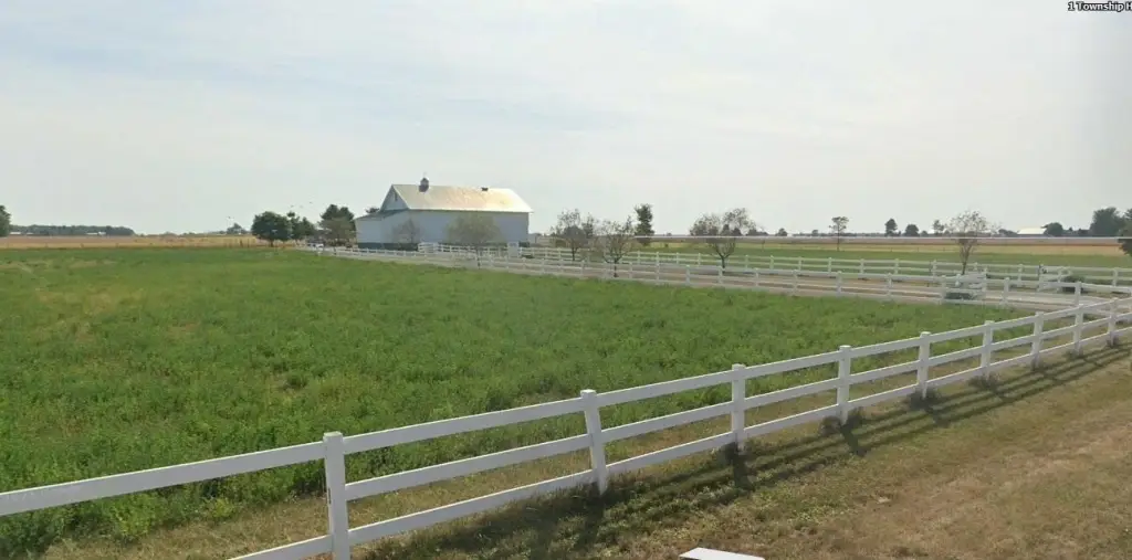 Picture 31