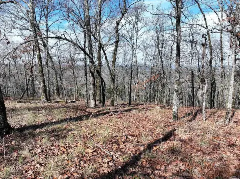 Undeveloped Rural Specialty Property