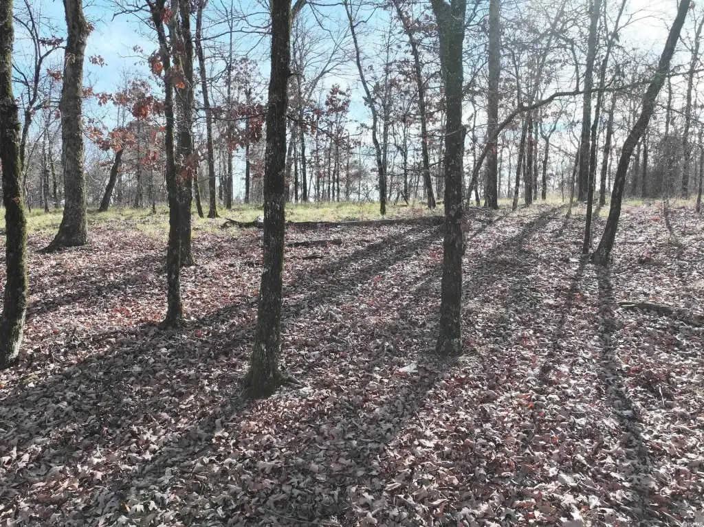 Picture 14