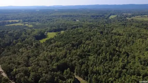 Wooded Hunting Land