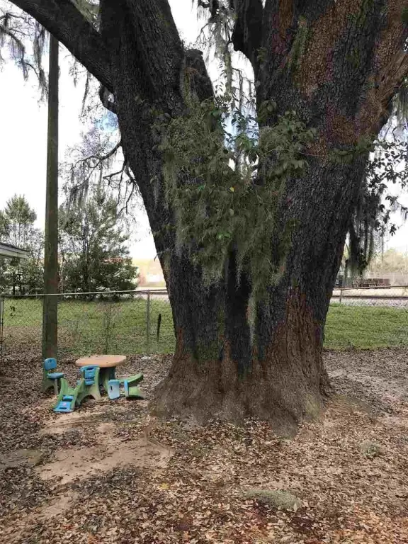 Picture 36