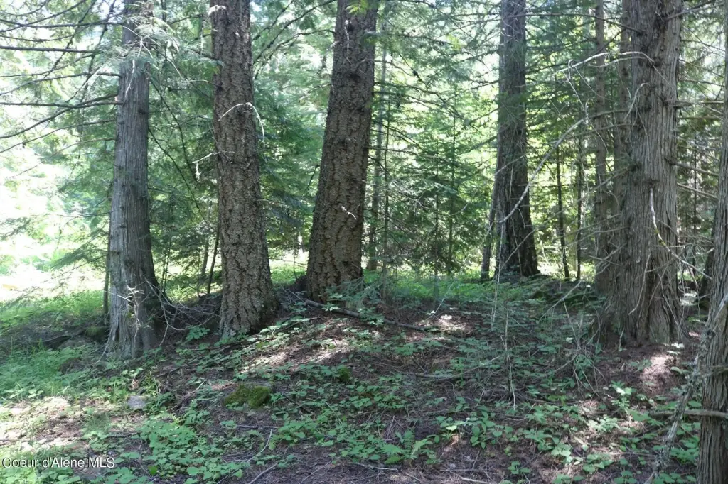 Picture 13