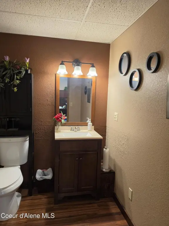 Picture 12