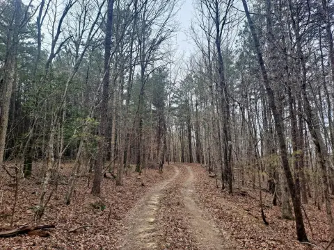 Secluded Land Near I-22