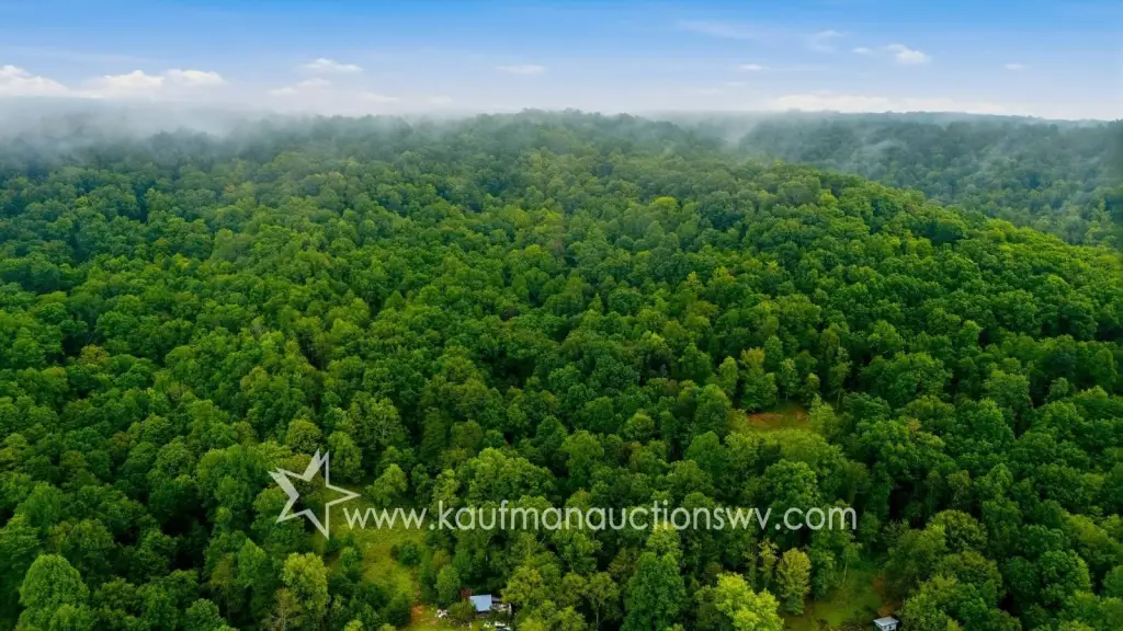 Picture 19