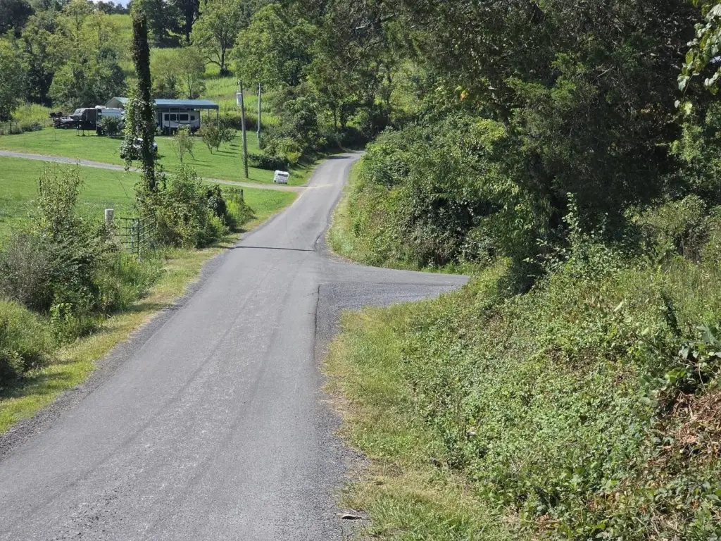 Picture 16