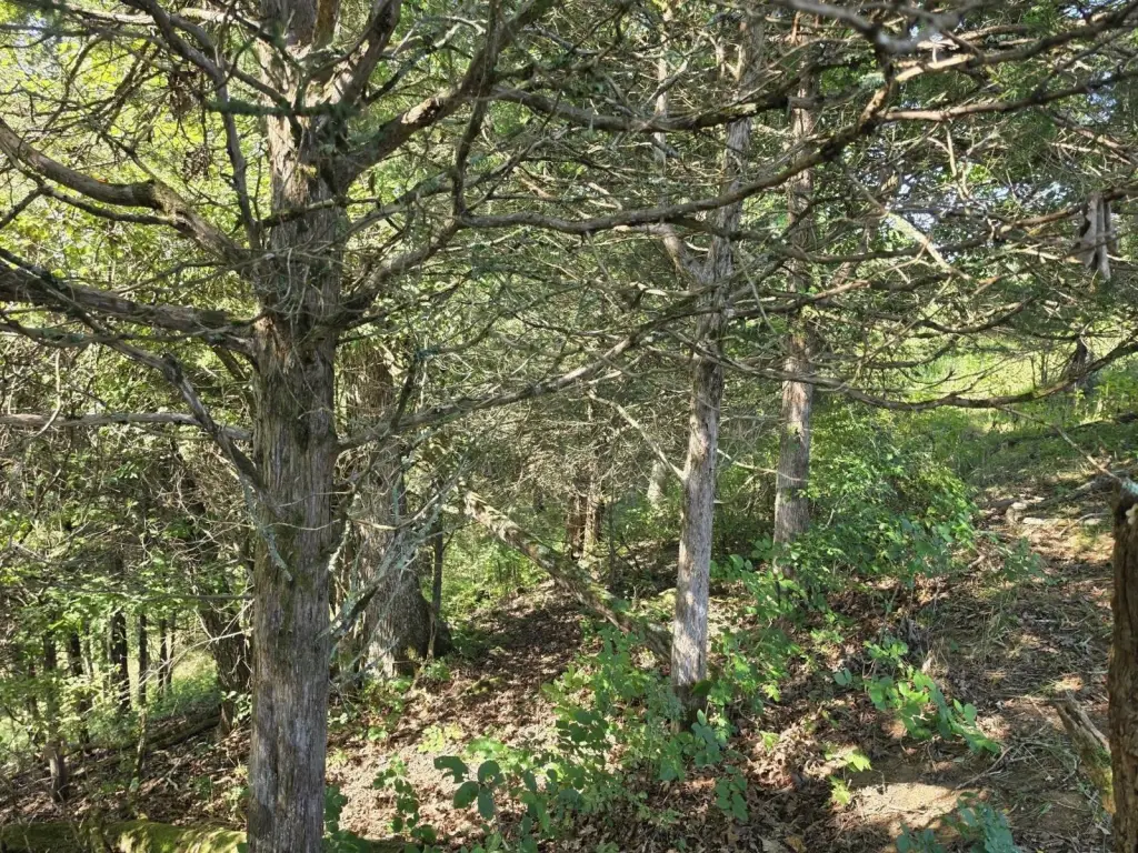 Picture 6