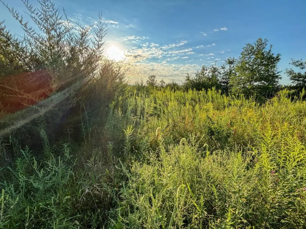 Picture 36