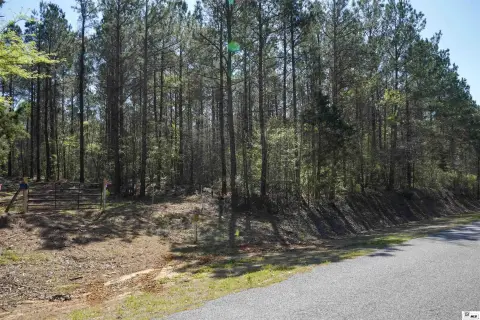 Managed Pine Farmland