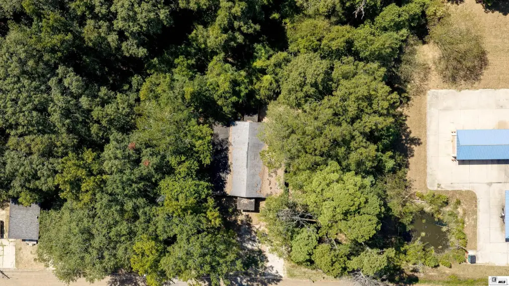 Picture 3