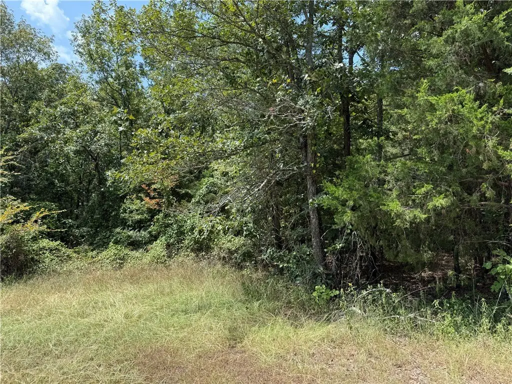 Picture 4