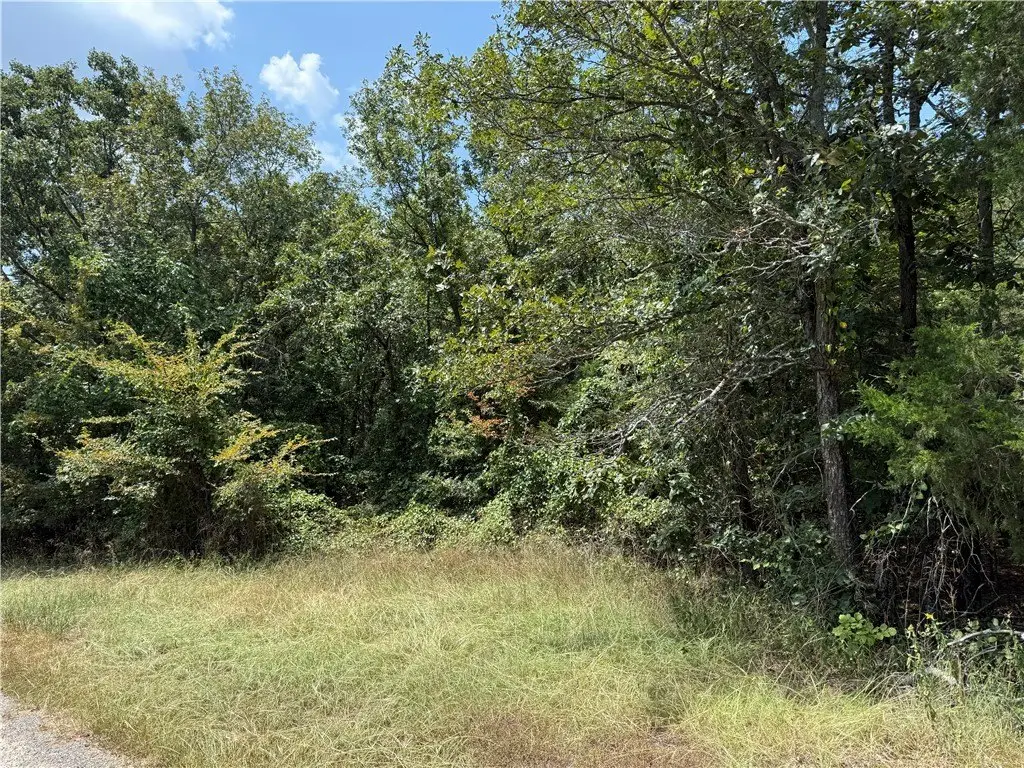 Picture 5