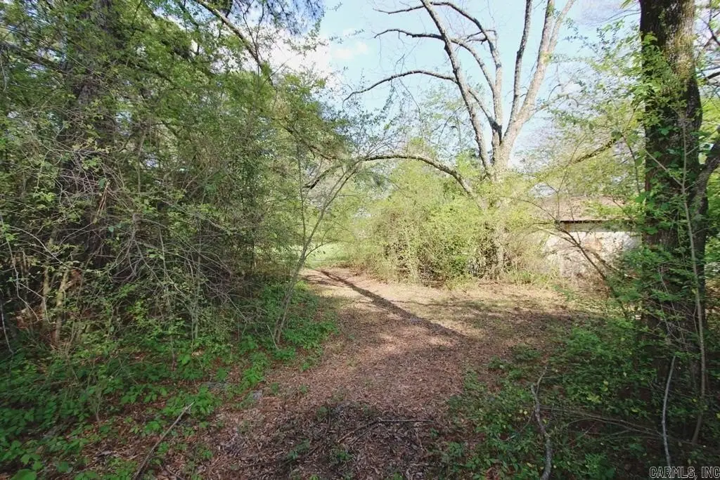 Picture 24