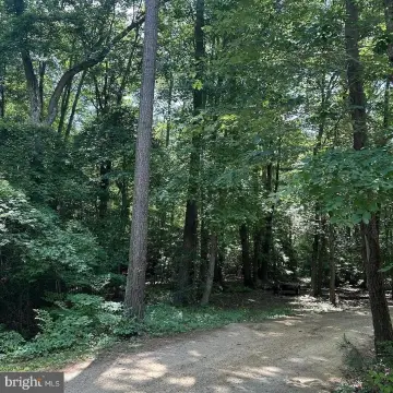 Wooded Homesite Land in Valley Lee