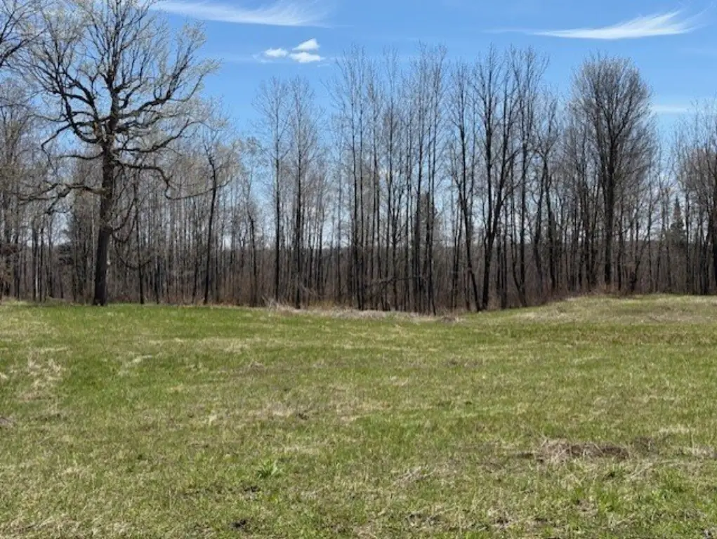 Picture 10