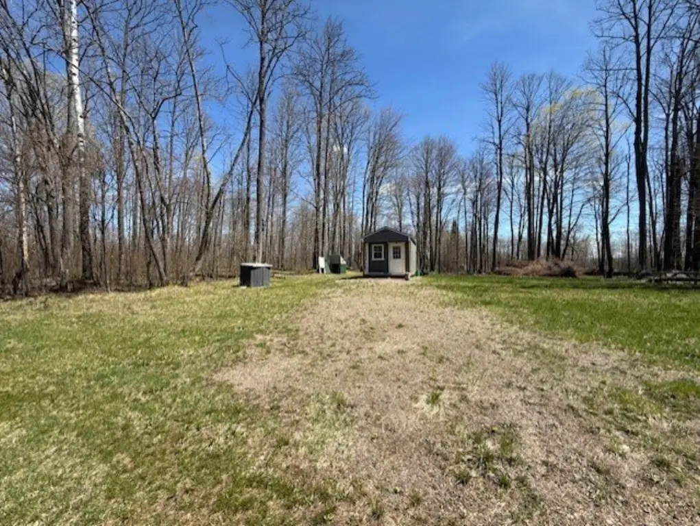 Picture 5