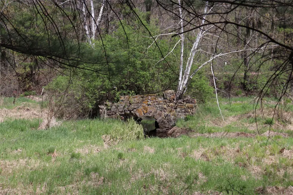 Picture 53