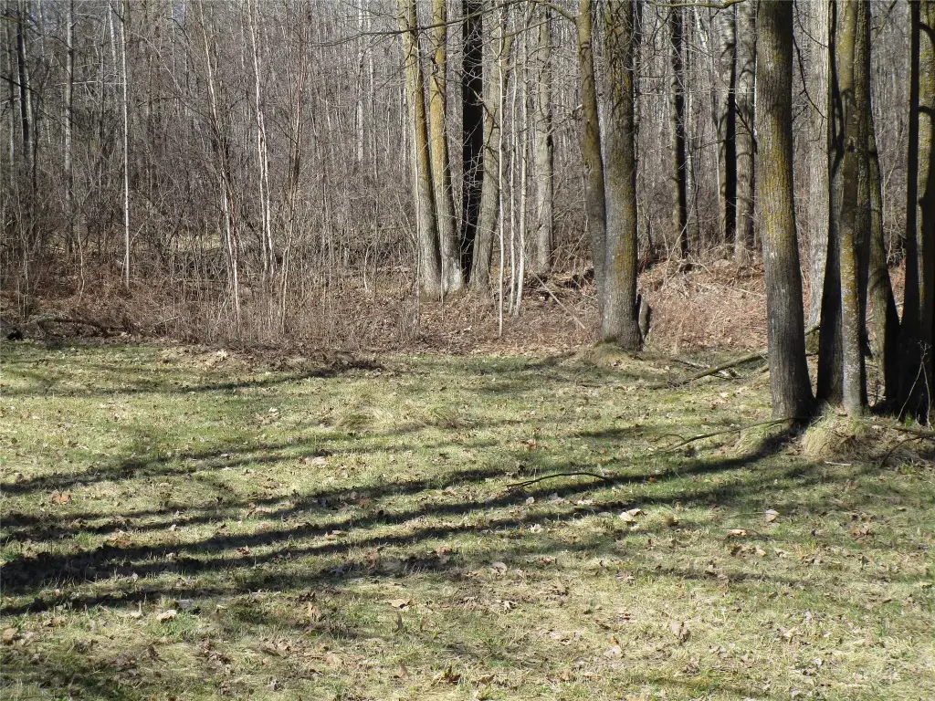 Picture 11