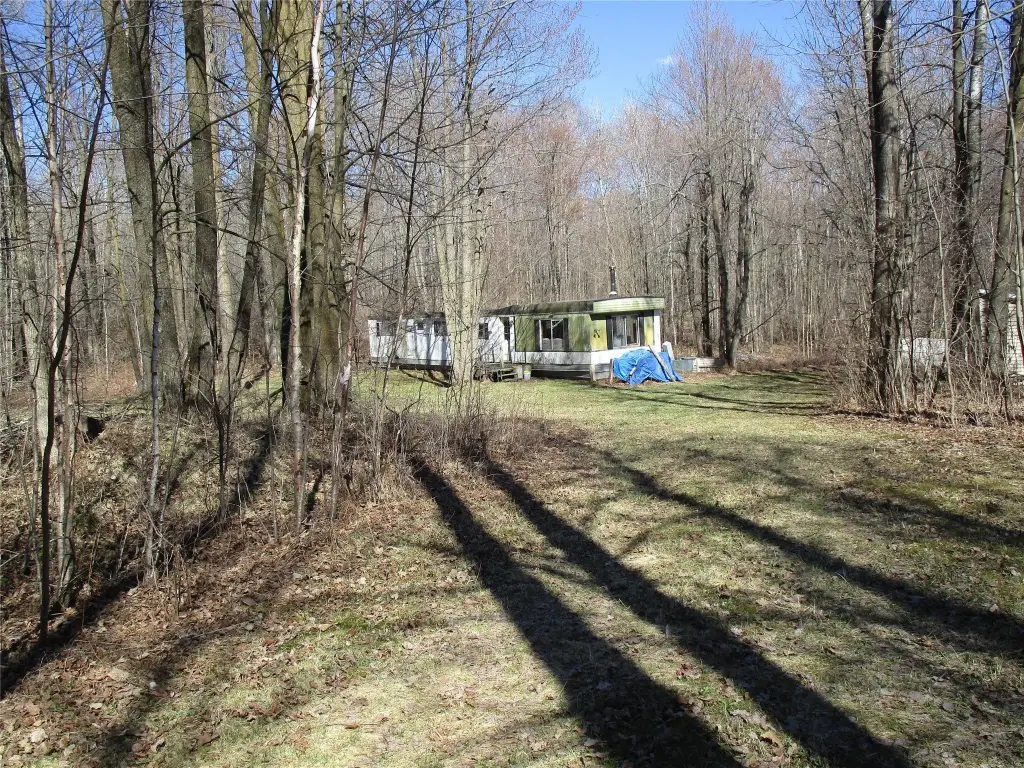 Picture 2
