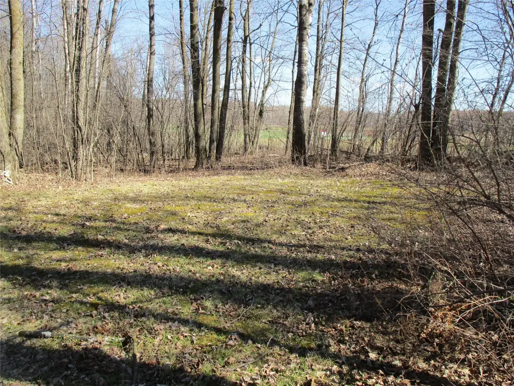 Picture 12