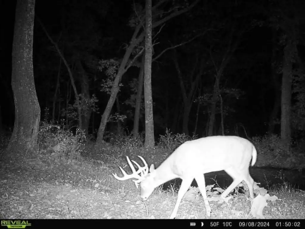 Picture 6