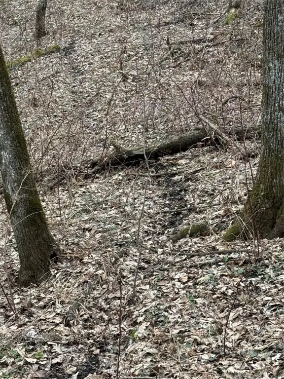 Picture 12