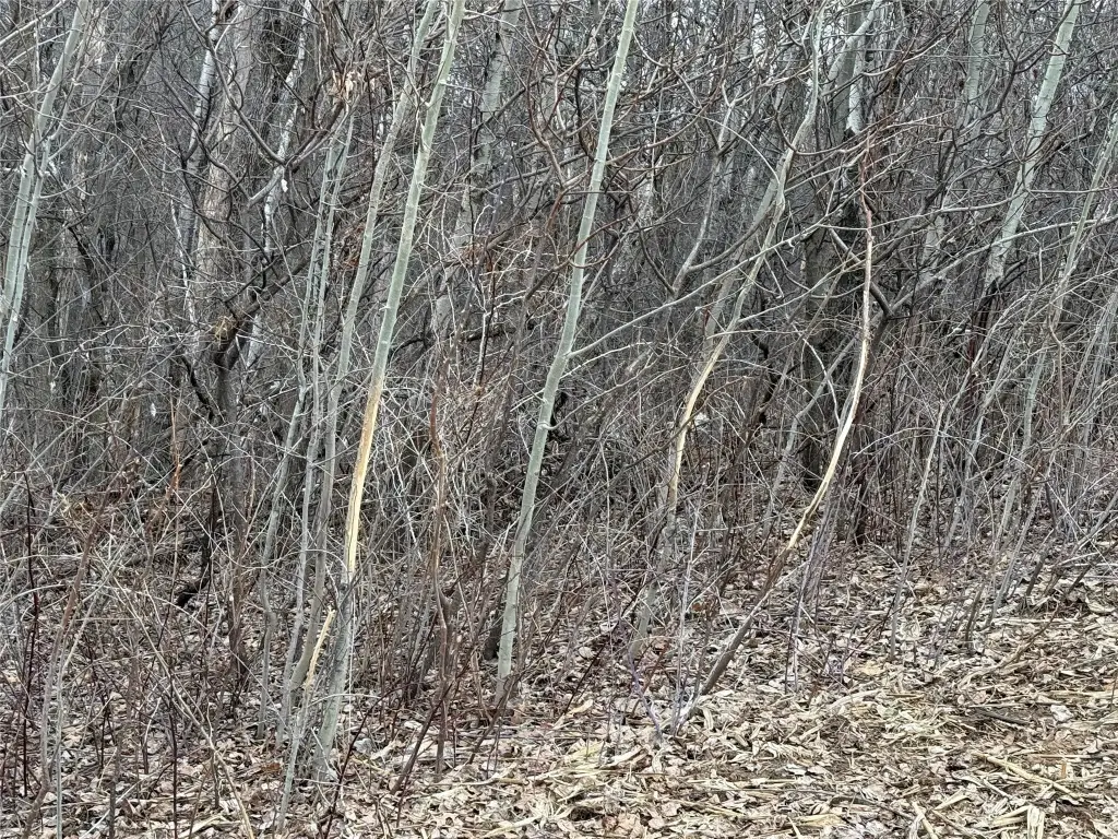 Picture 42