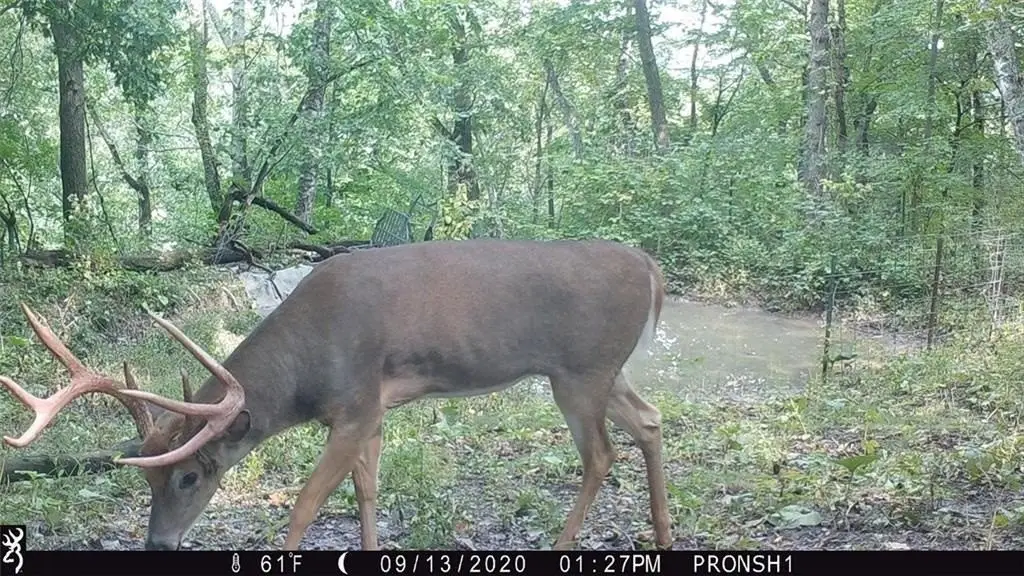 Picture 16