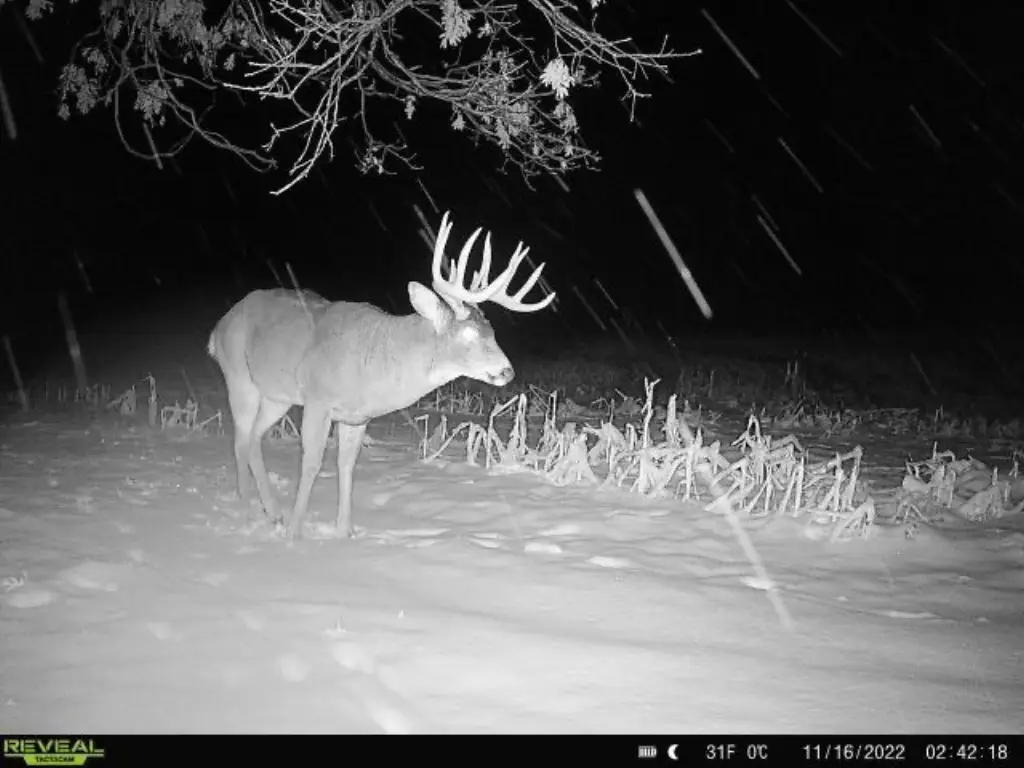 Picture 2