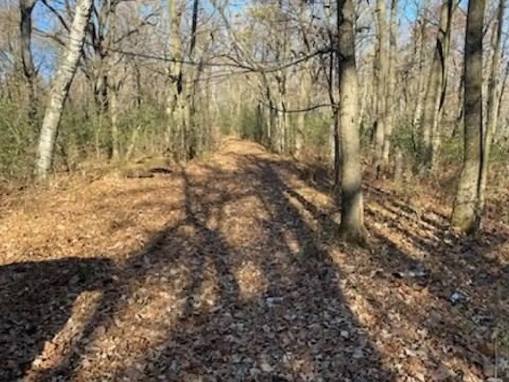 Picture 18