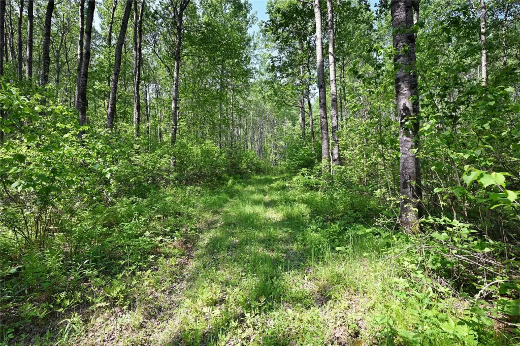 Picture 8