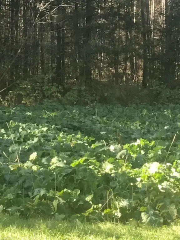 Picture 4