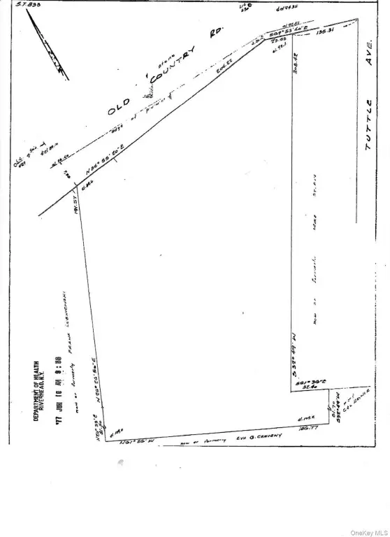 Picture 15