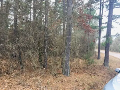 Residential Land in Eagles Nest