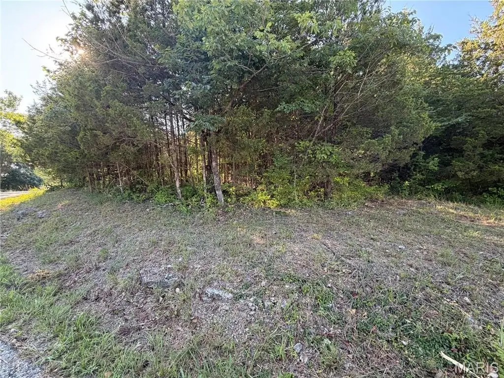 Picture 2