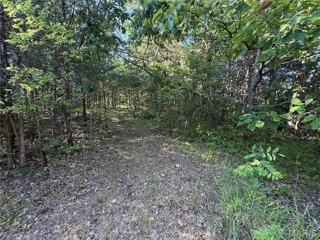 Picture 3