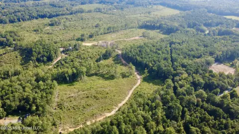 Hunting Land with Interior Road